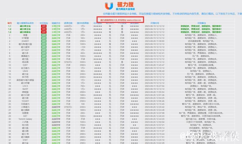 2023年最新磁力搜索器App推荐与使用指南