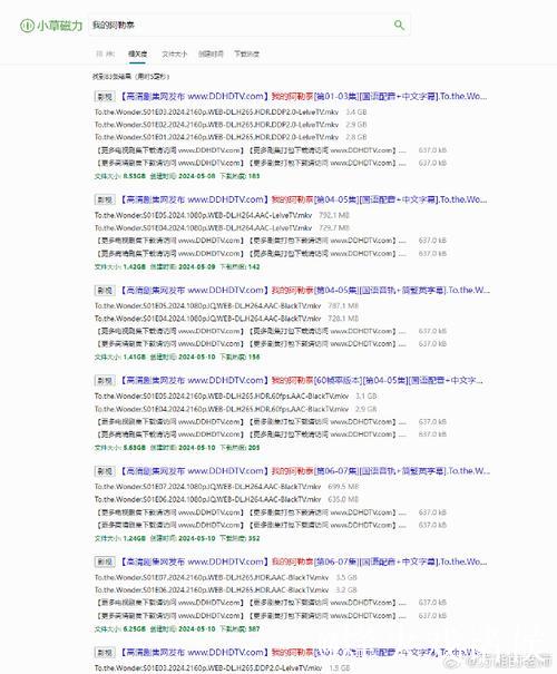 磁力链搜索必备技巧与资源指南